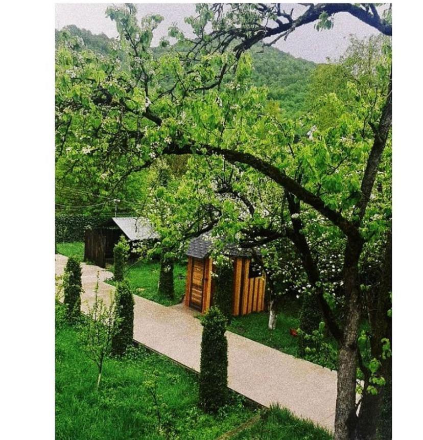 Green Garden B&B Dilijan Exteriör bild