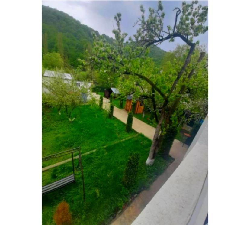 Green Garden B&B Dilijan Exteriör bild