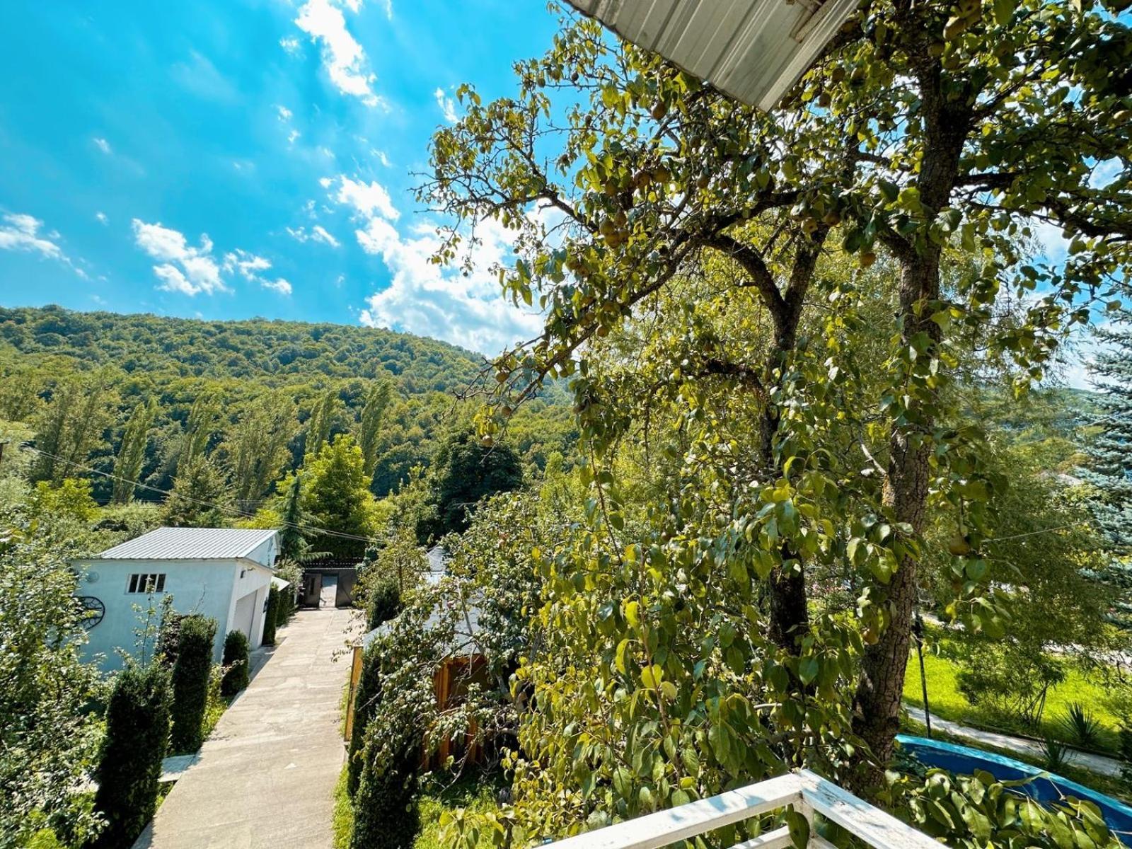 Green Garden B&B Dilijan Exteriör bild